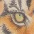 ElvishTiger :iconelvishtiger: