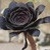 :iconelymethedryad: