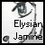 :iconelysian-jasmine: