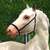 :iconelysianfieldseq: