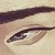:iconelzbun: