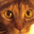 :iconemailaddict: