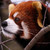 :iconemanuele2410: