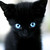 embem95 :iconembem95: