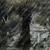 :iconemberfox666: