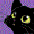 :iconemberlight210: