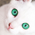 :iconembrisona: