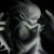 :iconembry0: