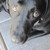 :iconemc098: