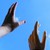 EmelyL :iconemelyl: