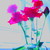 :iconemerald-ash-borer: