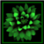 :iconemerald-dahlia: