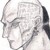 :iconemerald-scarab: