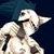 :iconemeraldcross: