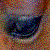 :iconemeraldequine:
