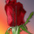 :iconemeraldeyez63: