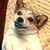 :iconemeraldk: