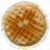 :iconemeraldpheonix: