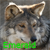 :iconemeraldstarwolf: