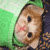 :iconEmeraldWeapon: