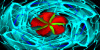 group avatar
