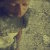 :iconemericagod: