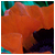 :iconemgraph: