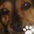 :iconemi-lynn:
