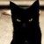 :iconemilam6:
