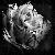 :iconemilee-rose: