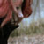 :iconemilia-debilia: