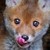 :iconemilia12345: