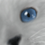 :iconemiliaolsson: