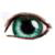 :iconemiliefredriksen: