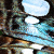 :iconemiliex1410: