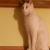 :iconemiliony6: