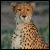 :iconemillopl: