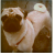 :iconemily-juhasz: