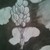 :iconemily-terwilliger: