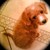 :iconemily22nd: