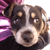 :iconemily320: