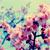 :iconemily65: