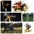 :iconemilyappaloosa: