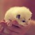 :iconemilyellis16: