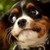 :iconemilyjex: