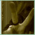 :iconemilykw: