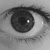 :iconemilymorgan-hubbub: