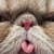 :iconemilyroseforreal: