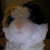 :iconemilythehedgehog402: