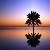 :iconemiratessignature: